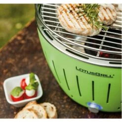 LotusGrill Standard Verde -Sconto Weber || Campingaz || OUTSUNNY in Italia 35757313 4