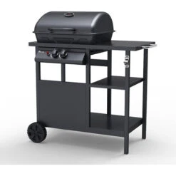 Barbecue BBQ Gas Acciaio Inox 2 Bruciatori Griglia Cremagliera Bagnét Verd