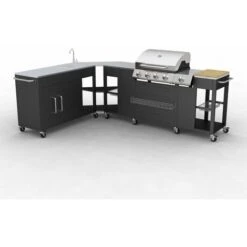 VIDAXL Barbecue A Gas Montana, Cucina Portabile 4 Bruciatori +1
