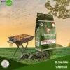 CARBONE NATURALE DI LEGNA IL LAMPISTA PER BARBECUE E GRIGLIA 2,5 KG