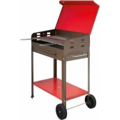 Barbecue A Carbone Vanessa Cm 40 X 60 X H 90
