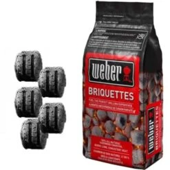 Weber - Sacco Bricchetti Di Carbone Da 4 Kg -- FER 269612