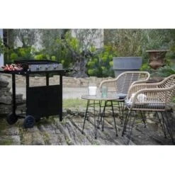 Garden Max Gas Plancha - 3 Luci - Su Un Carrello - Acciaio Smaltato - 60 X 35 Cm - Nero -Sconto Weber || Campingaz || OUTSUNNY in Italia 99472653 2